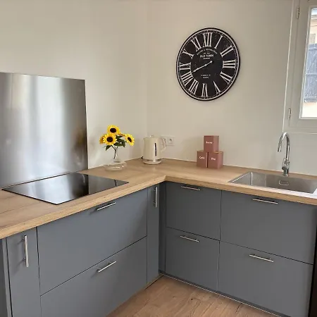 Apartmán L'opus Renove Avec Terrasse En Centre Proche Du Puy Dufou *