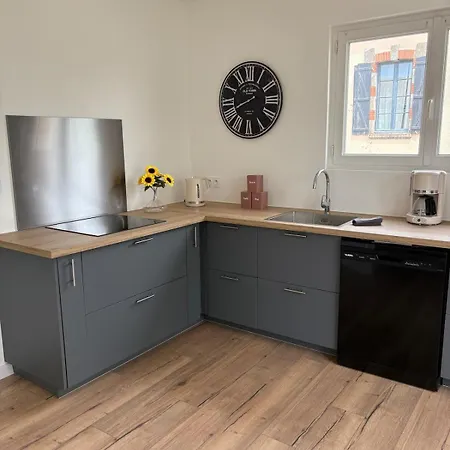Apartmán L'opus Renove Avec Terrasse En Centre Proche Du Puy Dufou *